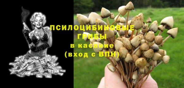 a pvp Богданович